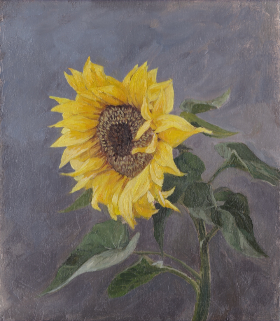 oil painting of a sunflower